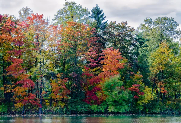 O jogo de cores na floresta de outono — Fotografia de Stock