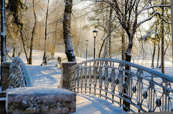Kış manzarası ile hassas antik Köprüsü