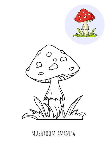 Fly Agaric Picture Coloring Color Sample Vector Isolated White Background — Stock Vector