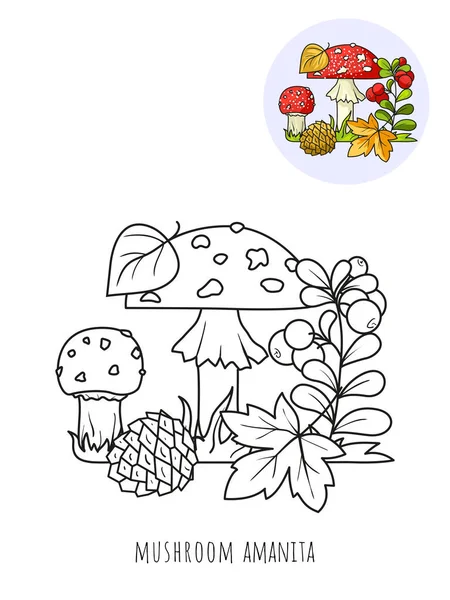 Cogumelos Amanita Lingonberry Quadro Para Colorir Com Uma Amostra Cor —  Vetores de Stock