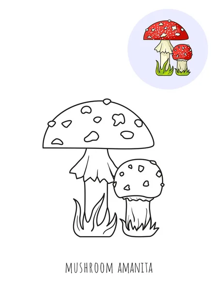 Amanita Gomba Egy Kép Színező Színes Mintával Fehér Alapon Izolált — Stock Vector