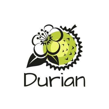 Durian, meyve ve çiçek. Grafik kompozisyonu, logo için uygun. Beyaz arkaplanda, izole edilmiş vektör.