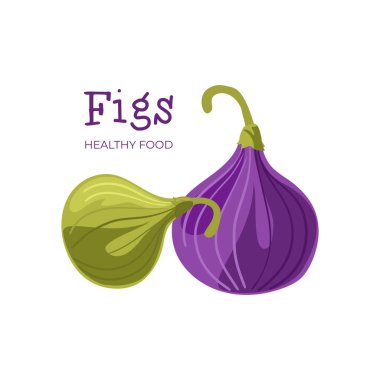 İncir. Sulu, lezzetli ve sağlıklı incir meyveleri. Beyaz arkaplanda izole edilmiş vektör.