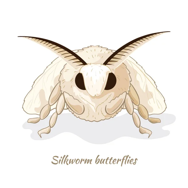 Silkworm Butterfly Close Portrait Vector Isolated White Background - Stok Vektor