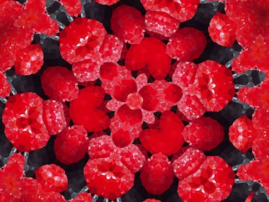 Güzel taze ahududu illüstrasyon kaleydoskop