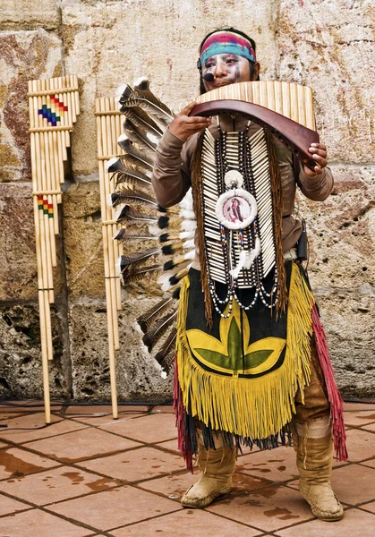 Instrumento indio andino — Foto de Stock