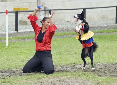 Kenar kömür ocağı köpek sahibiyle dans