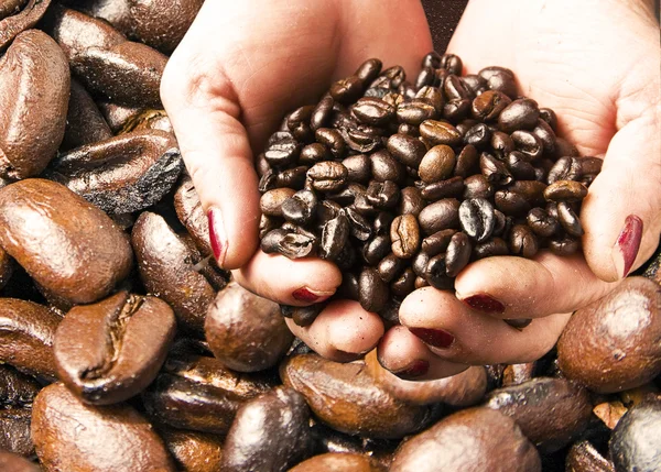 新鮮なコーヒー豆 — ストック写真