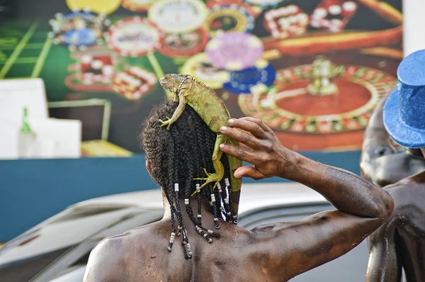 Людина, несучи послугами ігуана карнавал — стокове фото
