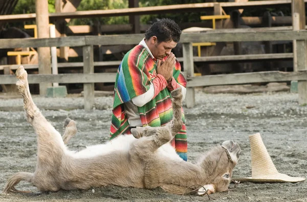 Donkey playing dead dramatization — Stock Photo, Image