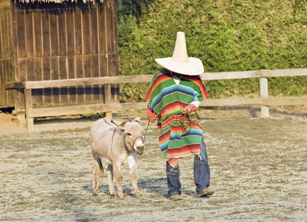 South American Cowboy — Stock Photo, Image