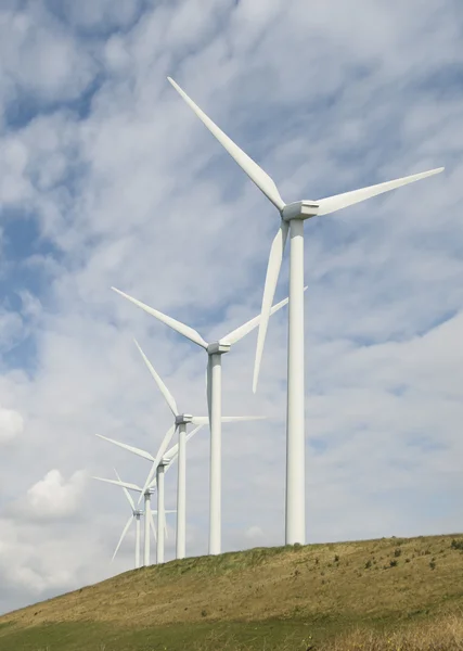 Wind generators on land Stock Picture