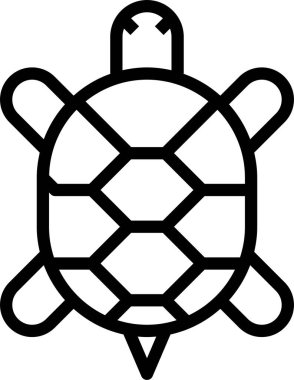 Kaplumbağa vektörü, beyaz arkaplandaki simge