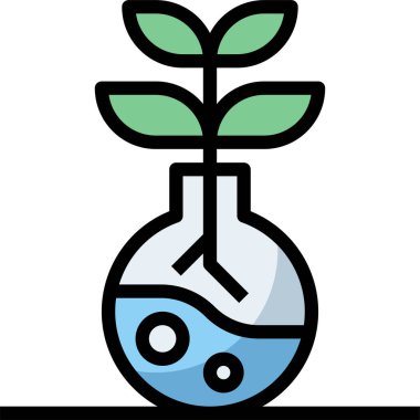 seo web pazarı araştırma kavramı 