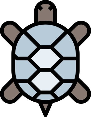 Kaplumbağa vektörü, beyaz arkaplandaki simge