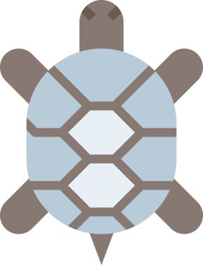 Kaplumbağa vektörü, beyaz arkaplandaki simge