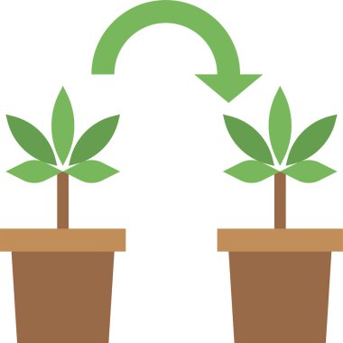 Esrar klonlama simgesi, vektör illüstrasyonu