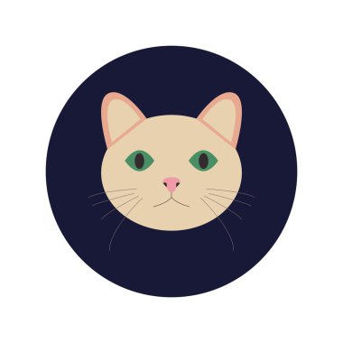 evcil kedi yassı simgesi