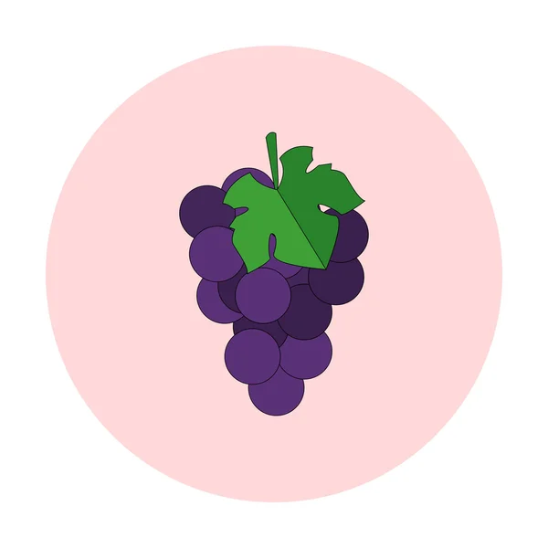 Icono de uvas frescas — Vector de stock