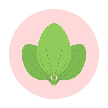 Muz yaprakları simgesi