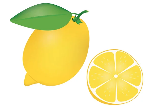 克里夫 现实主义柠檬和一半柠檬 — 图库矢量图片