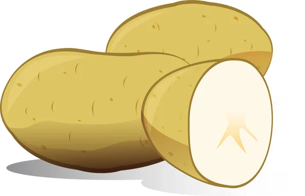 Clipart Vector Potatoes Und Halbe Kartoffel — Stockvektor