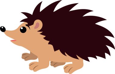 Kirpi beyaz arka planda izole edilmiş. Kirpi tırmanışı