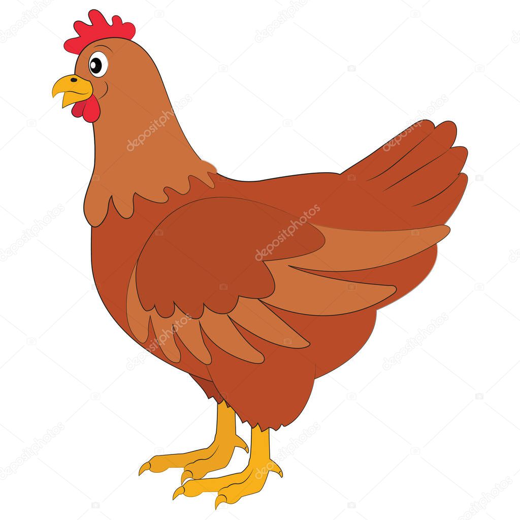 Vector Illustration of Cartoon chicken