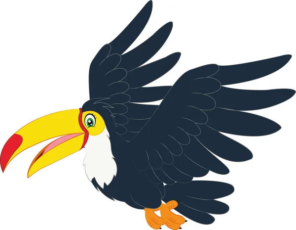 Vector Hornbill Bird Cartoon — Stock Vector