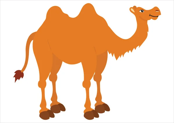 Ilustração Vetorial Camelo Isolado Sobre Fundo Branco Clipart Camel — Vetor de Stock