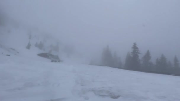 Tormenta Nieve Fuerte Densa Las Partículas Girando Mueven Viento Ventisca — Vídeo de stock