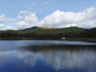 Ormanda küçük gölü olan yaz manzarası. Mavi Göl 'ün panoramik görüntüsü