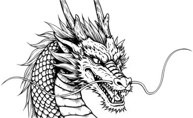 Mythical dragon black and white isolated on white background