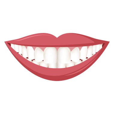 Güzel gülen bir ağız, beyaz arka planda düz dişler.