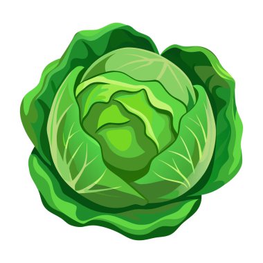 Taze sebze kabak vektör düz tasarım beyaz arka planda izole