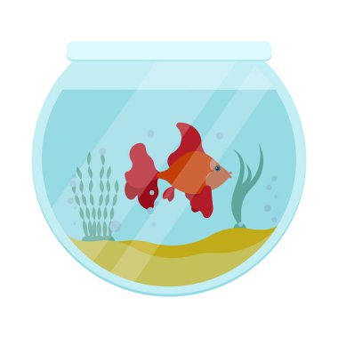 Yuvarlak akvaryum, beyaz zemin üzerinde düz kırmızı koi balığı var.