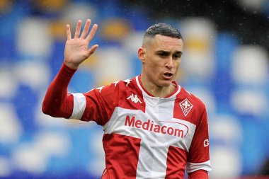 Fiorentina 'dan Jose Maria Callejon, İtalya Ligi Serie A maçında Napoli - Fiorentina final maçı 5-0, Diego Armando Maradona Stadyumu' nda oynandı. İtalya, 17 Ocak 2021.