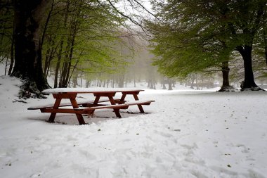 Karla kaplı Pic-Nic masası. 21 Nisan 'da, deniz seviyesinden 1400 metre yükseklikte yer alan Cusano Mutri belediyesindeki Bocca della Selva' yı yoğun kar yağışı kapladı. Şiddetli yağış tüm orta / güney İtalya 'yı etkiledi. 21/04/20