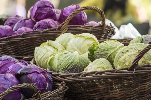 Légumes frais biologiques - Pile de choux verts et violets dans — Photo