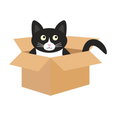 Şirin siyah beyaz kedi karton bir kutuda oturuyor. Doodle vektör illüstrasyonu.