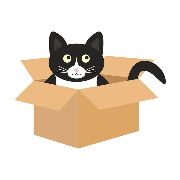 かわいい黒と白の猫が段ボール箱に座っています 落書きベクトルイラスト — ストックベクタ