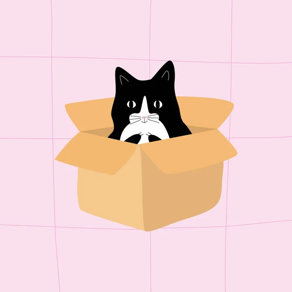Lindo Gato Blanco Negro Sentado Una Caja Cartón Sobre Fondo — Vector de stock