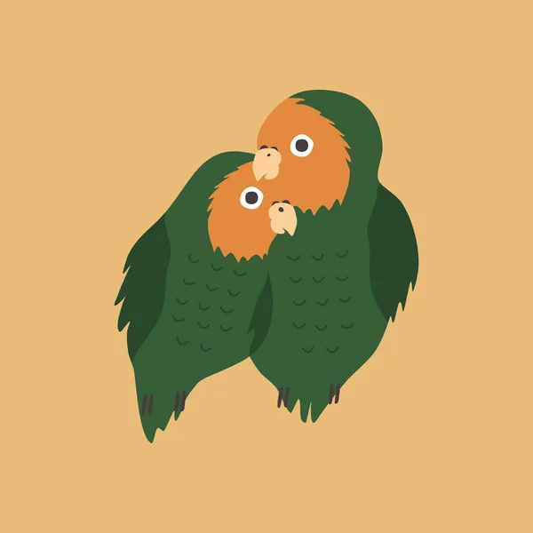 Joli Couple Perroquets Illustration Vectorielle Des Oiseaux Tropicaux — Image vectorielle