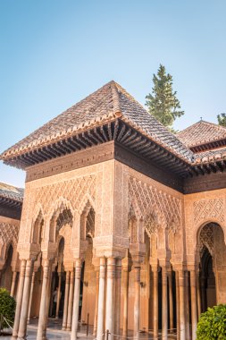 alhambra palace, granada, İspanya
