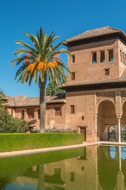 Gölet İspanya Alhambra Sarayı bahçesinde