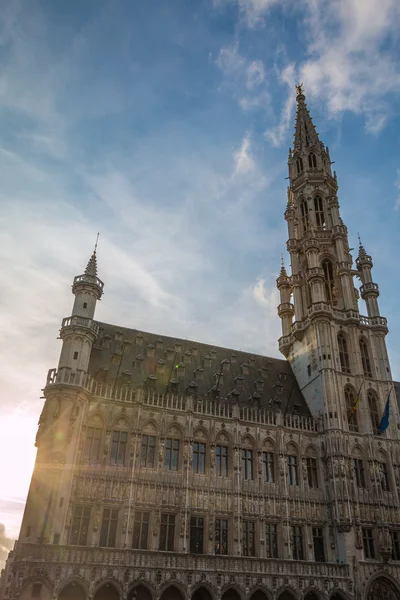 Брюссельская ратуша — стоковое фото