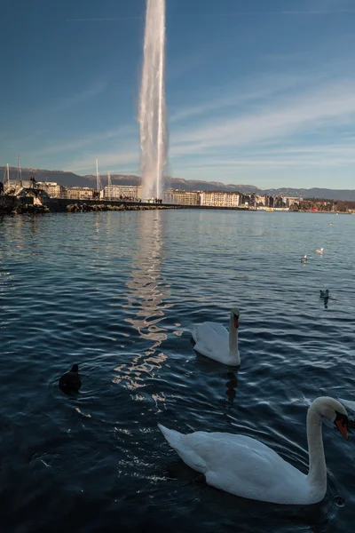 Fuente Jet d 'ou en Ginebra — Foto de Stock