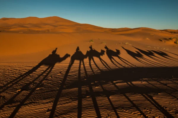 Poušť Sahara v Moroccu — Stock fotografie