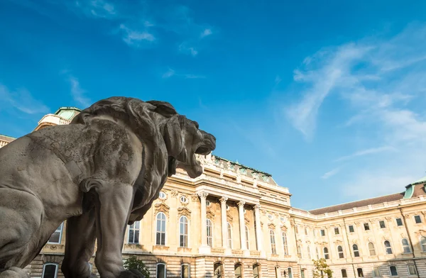 Лев площі у замку Буда в Будапешті, Угорщина — стокове фото