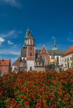 Wawel Kalesi, Krakow Polonya